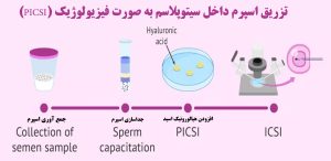سیتوپلاسم