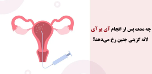 لانه گزینی